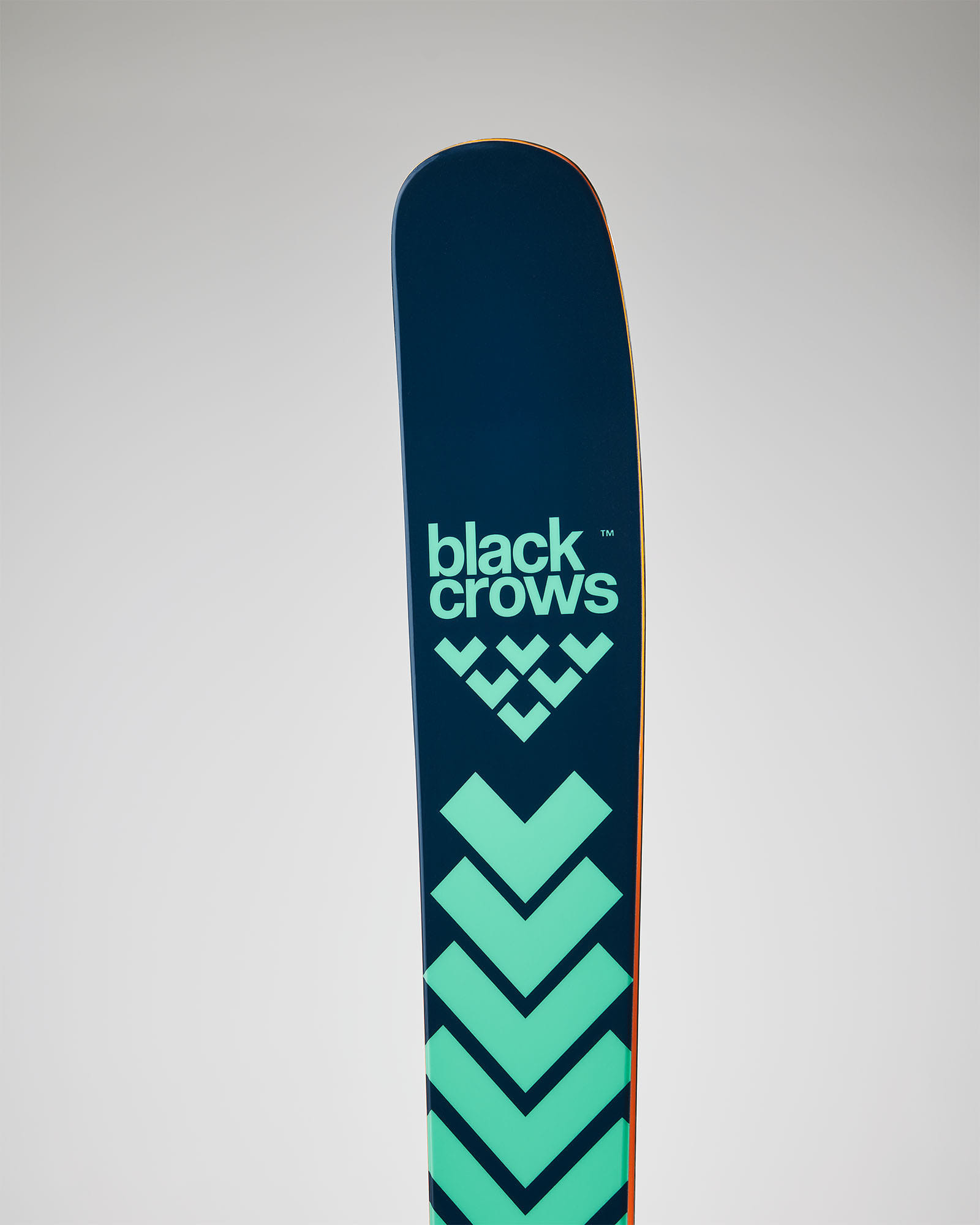 Black Crows Atris Freeride skis black/mint 178 cm - Transa.ch