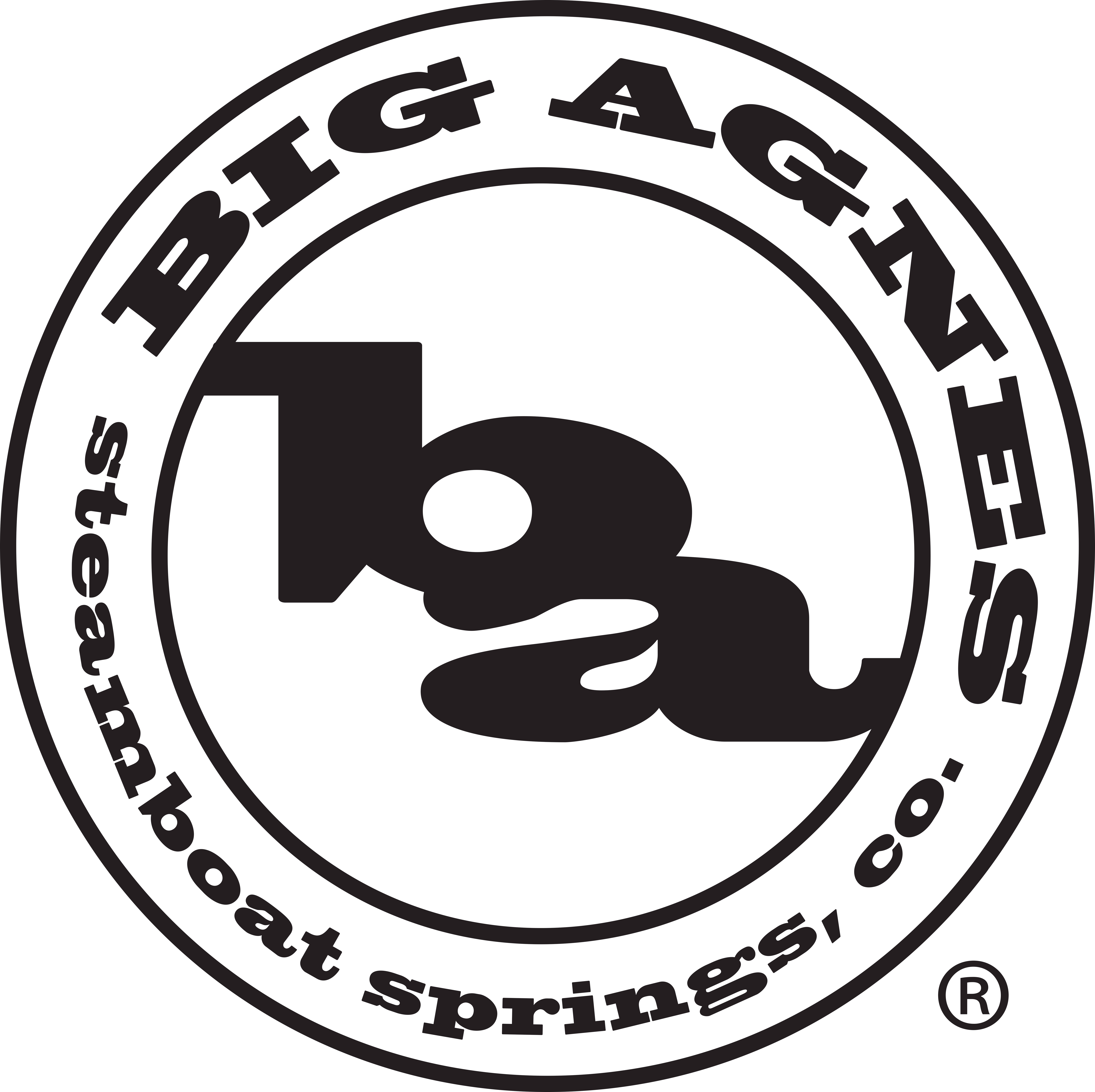 Big Agnes